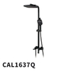 CAL1637