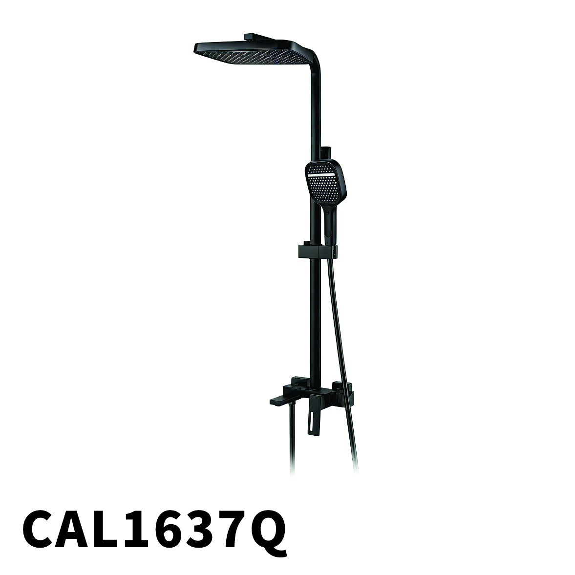 CAL1637