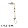 CAL6739