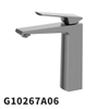 G10267