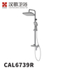 CAL6739