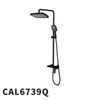 CAL6739