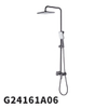 G24161
