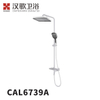 CAL6739