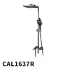 CAL1637