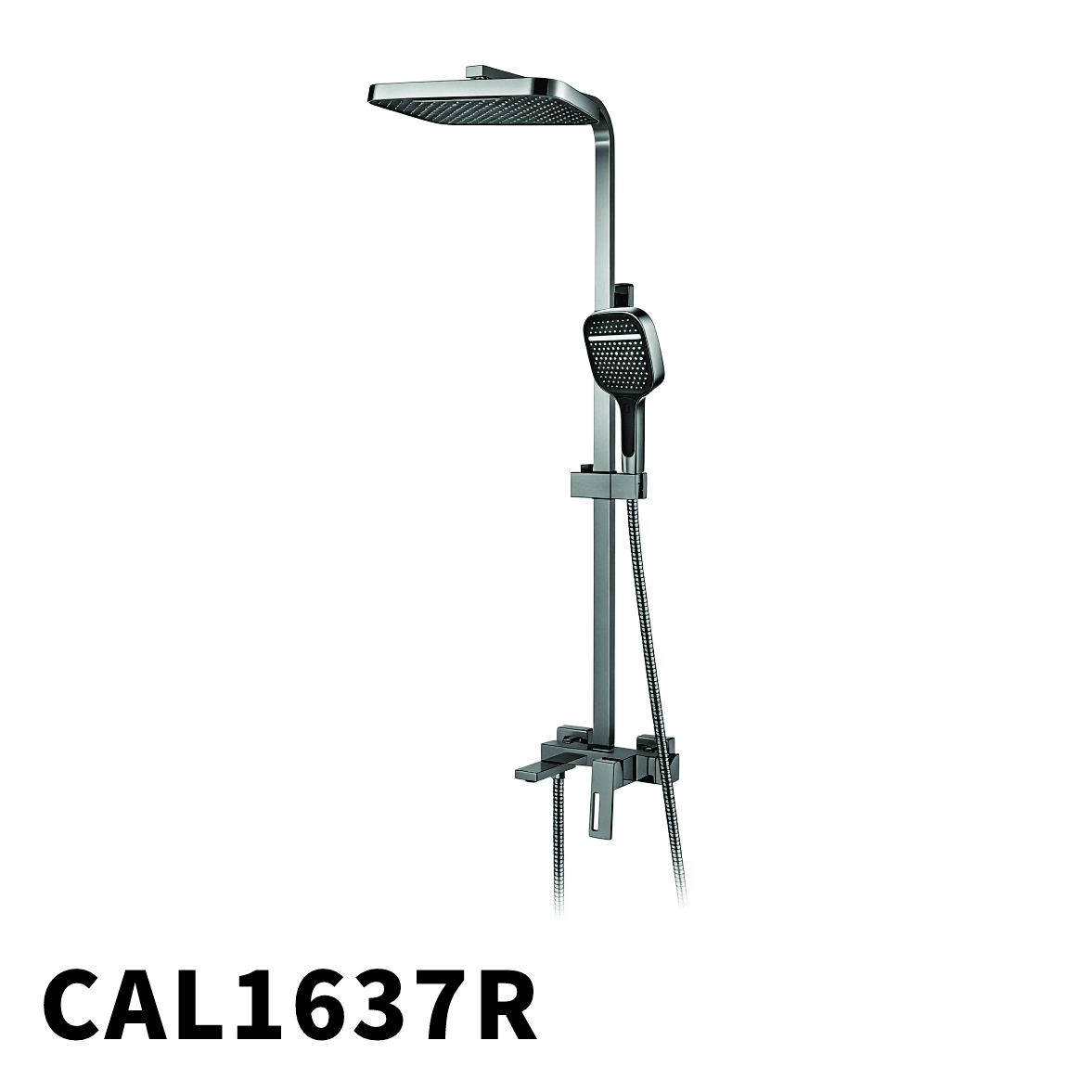CAL1637