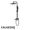 CAL6839