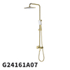 G24161