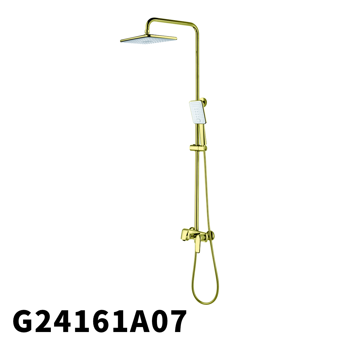 G24161