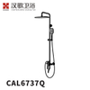 CAL6737