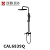 CAL6839