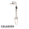 CAL6839