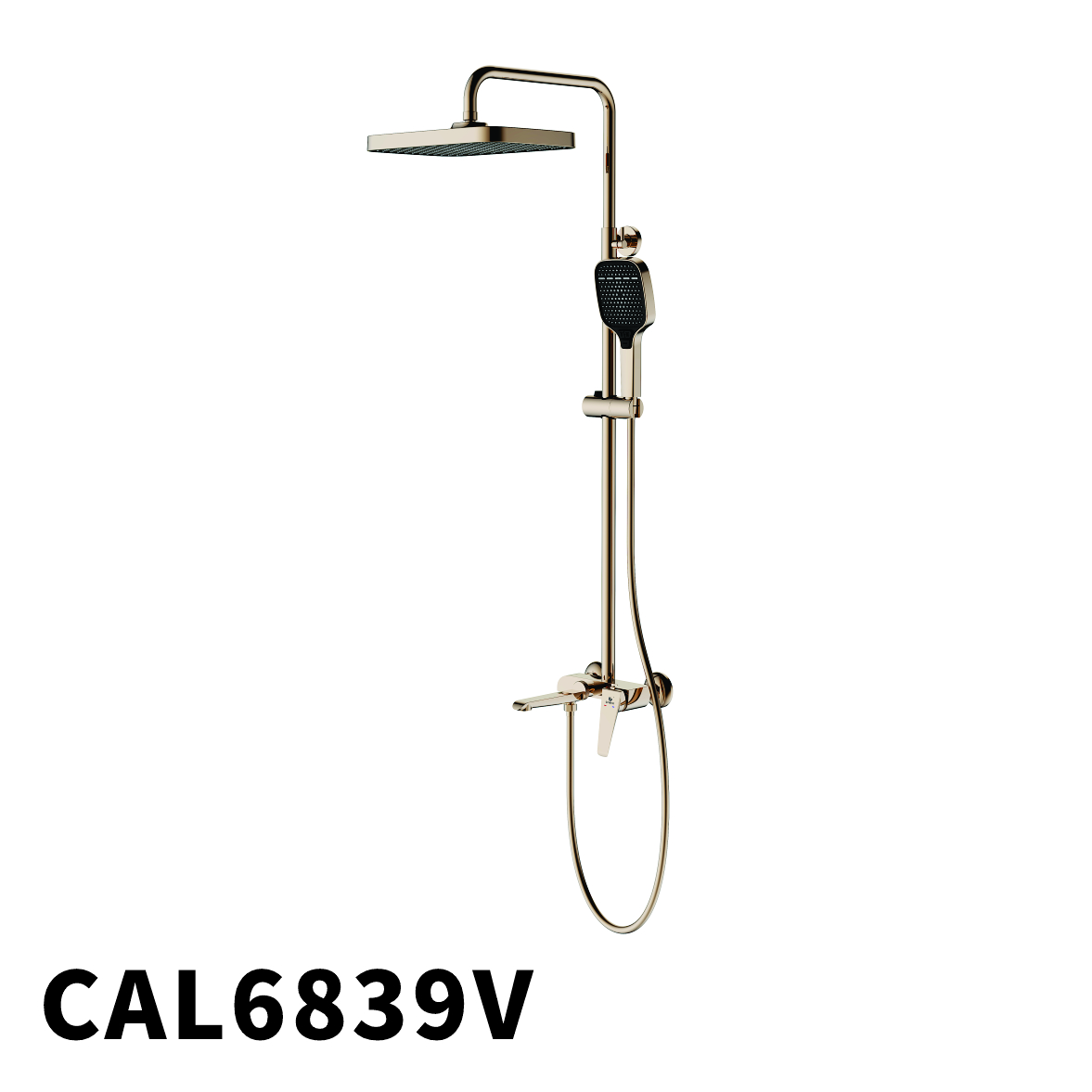 CAL6839