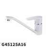 G45125