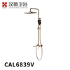 CAL6839