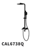 CAL6738