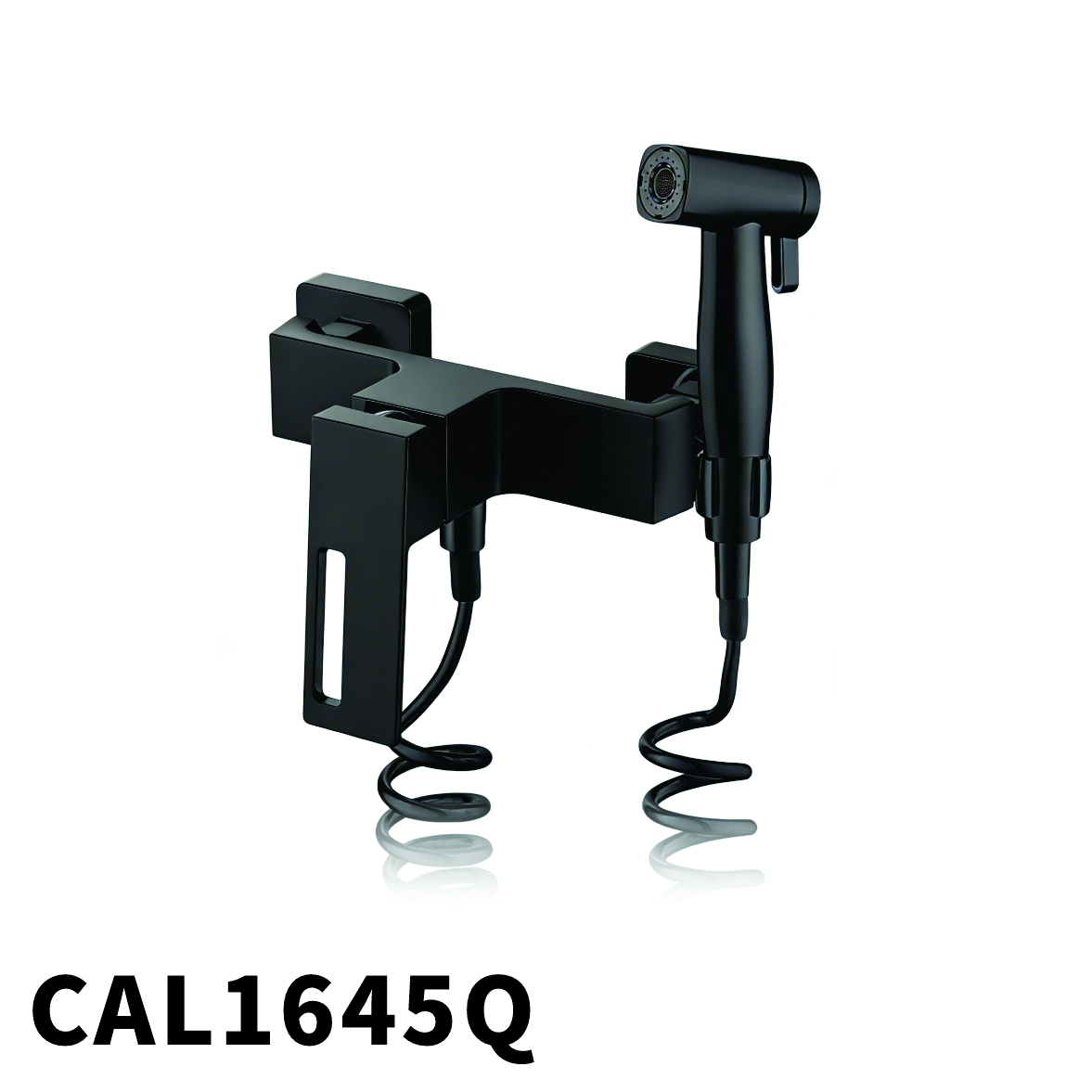 CAL1645