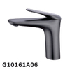 G10161