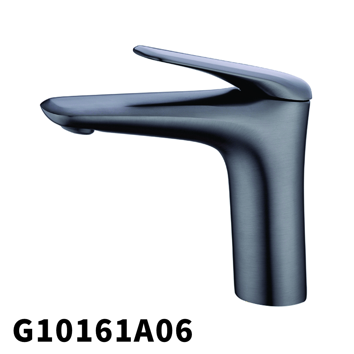 G10161