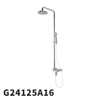 G24125