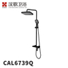 CAL6739