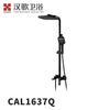 CAL1637