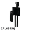 CAL6745