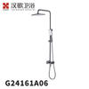 G24161