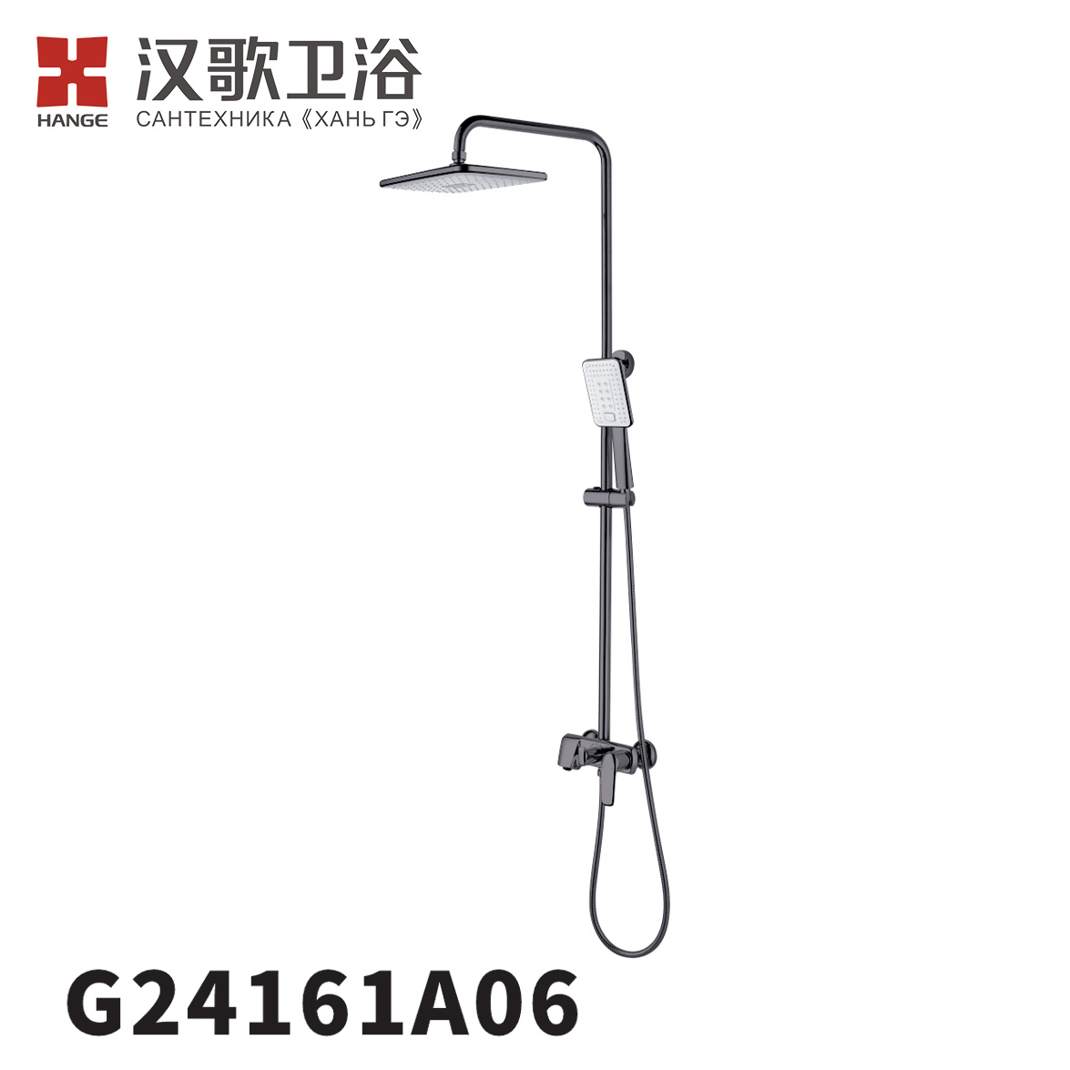 G24161