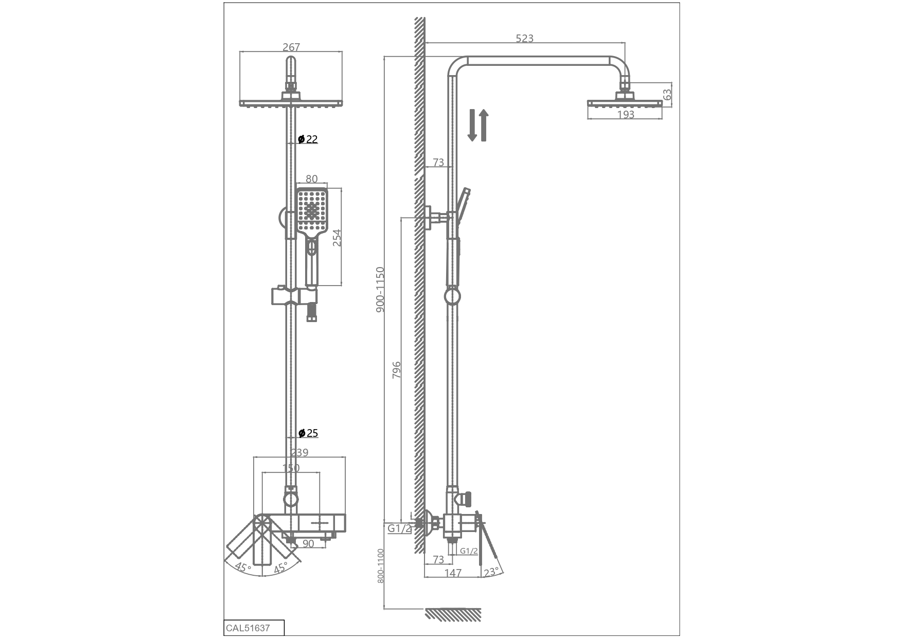 CAL51637_page-0001.jpg