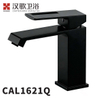 CAL1621