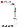 CAL6139