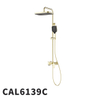 CAL6139