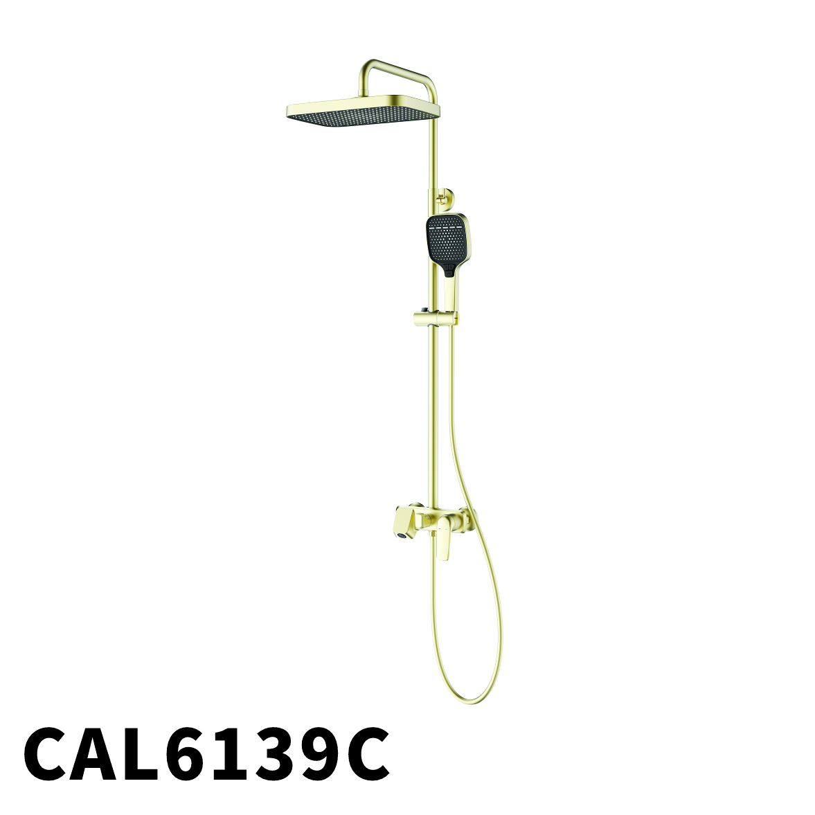 CAL6139