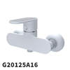 G20125