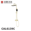 CAL6139