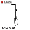 CAL6738