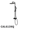CAL6139