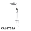 CAL6739