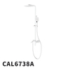 CAL6738