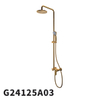 G24125
