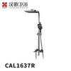 CAL1637