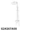 G24267