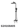 G24168