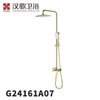 G24161