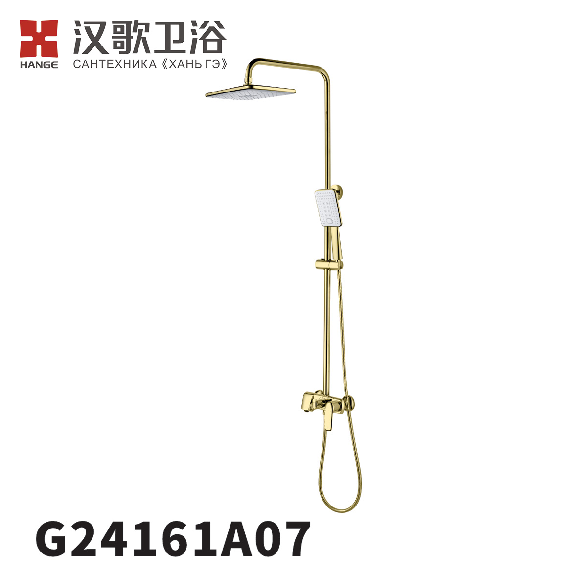 G24161