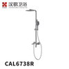 CAL6738