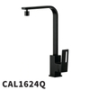CAL1624
