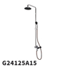 G24125