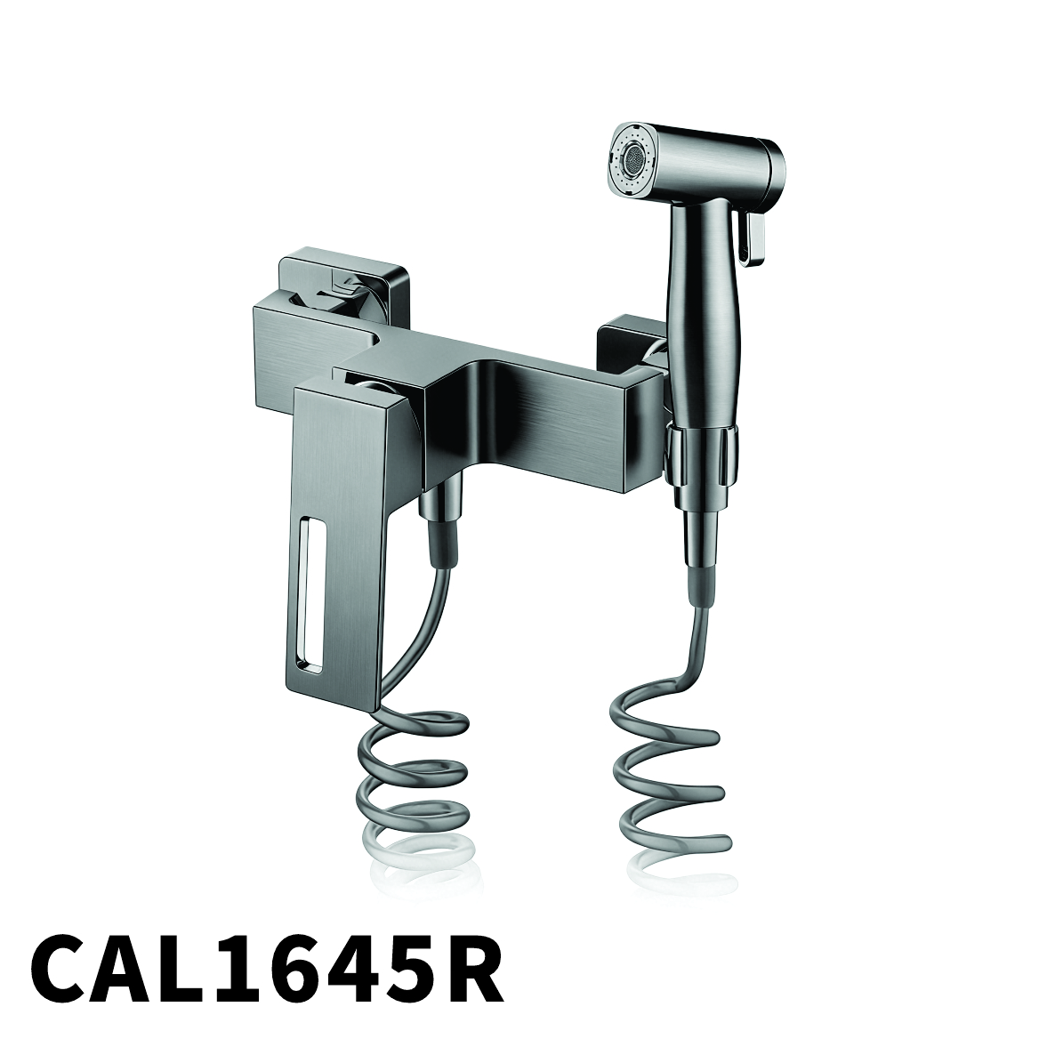 CAL1645